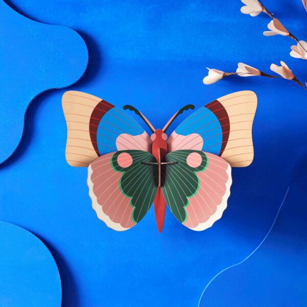 Cepora Butterfly