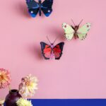 Luzerne Butterfly – Bild 3
