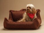 Pet Club Chair M, Warm Hazel – Hundesessel