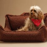Pet Club Chair M, Warm Hazel – Hundesessel