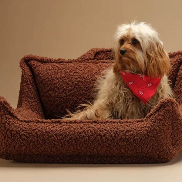 Pet Club Chair M, Warm Hazel – Hundesessel
