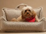Pet Club Chair M, Biscuit – Hundesessel – Bild 4