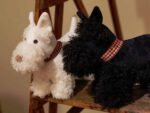 Walter der Scottish Terrier – Bild 2