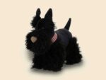 Walter der Scottish Terrier
