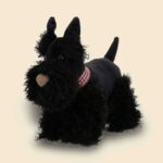 Walter der Scottish Terrier