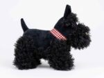 Walter der Scottish Terrier – Bild 5