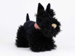 Walter der Scottish Terrier – Bild 6