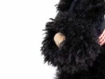 Walter der Scottish Terrier – Bild 3