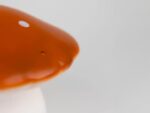Pilzlampe mittel, Terra – Bild 3
