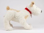 Eliot der Jack Russell (groß) – Bild 3