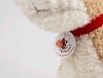 Eliot der Jack Russell (groß) – Bild 7