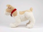 Eliot der Jack Russell (groß) – Bild 6